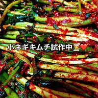 画像259