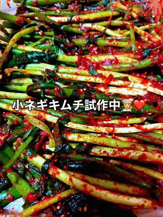 画像259