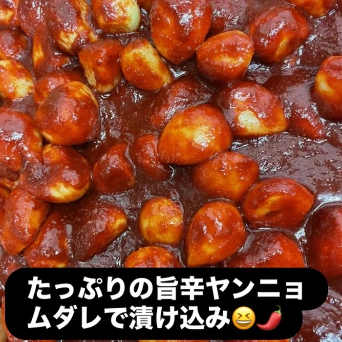 画像278