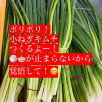 画像318