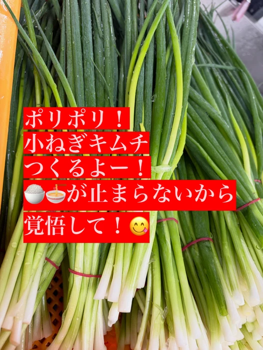 画像318