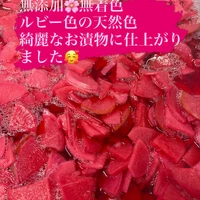 画像329
