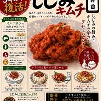 画像331