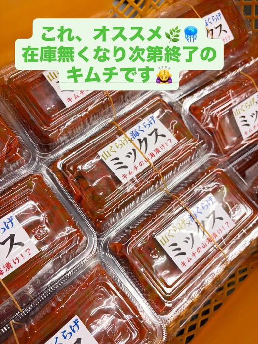 画像381