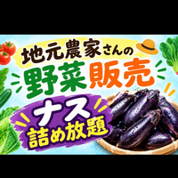 画像441