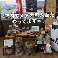 画像474
