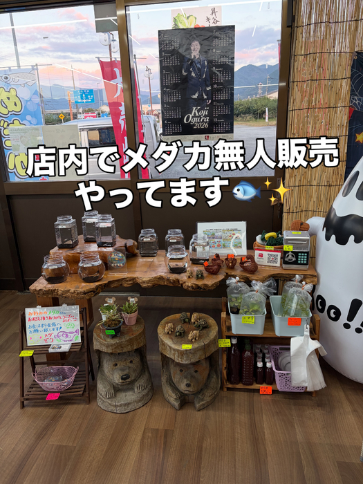 画像474
